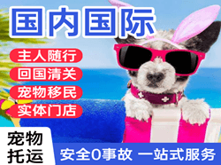 呼伦贝尔机场邮寄国际宠物托运 【国